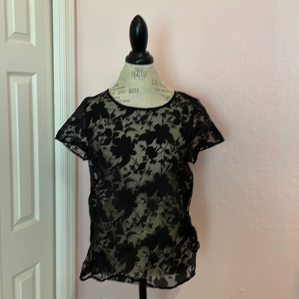 Pleione Sheer Top